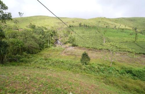Todupulai Casa | Helios Farms and Resorts