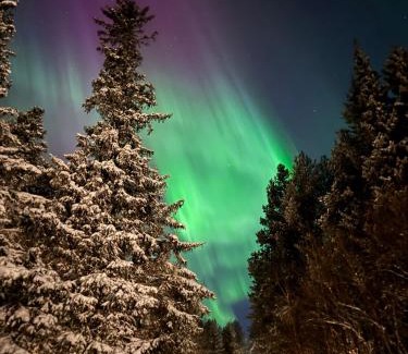 Hemsedal Casa | Hemsedal Mountain Retreat