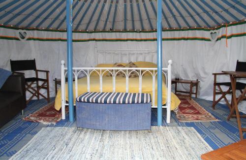 Totnes Otro | Hemsford yurt camp - Devon Yurts
