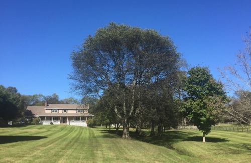 Hendersonville Casa | Hendersonville Ranch Getaway que está a solo 30 minutos de Music City