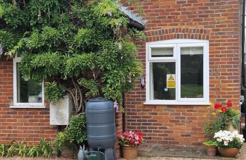 Henley Casa | Henley-on-Thames Special