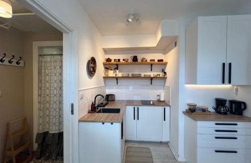 Kuldiga Apartamento | Hercoga Jekaba Apartaments