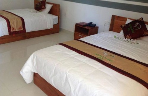 Phong Nha Hotel | Heritage By Night Hotel