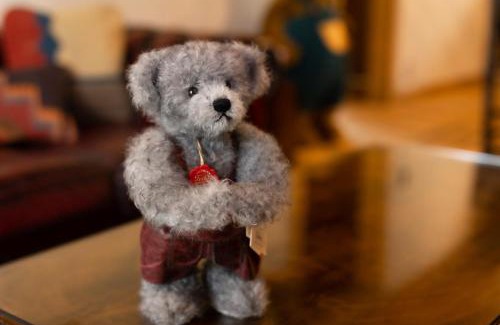Kitasaku-gun Casa | HERMANN Teddy Collectors' House - Vacation STAY 06872v