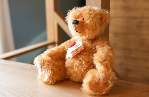Kitasaku-gun Casa | HERMANN Teddy Collectors' House - Vacation STAY 28453v