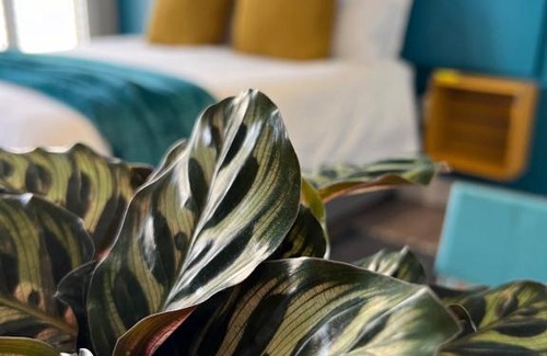 Hermanus City-Centre Apartamento | Hermanus Waterfront Apartment no 17