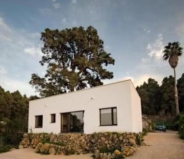 La Guancha Casa | Hermosa casa con vistas al jardin