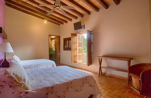 Mascota Casa | Hermosa y amplia casona en Mascota, +16 personas
