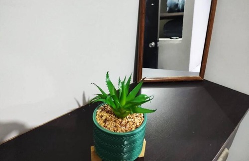 Tequila Apartamento | Hermoso Departamento Céntrico con servicios