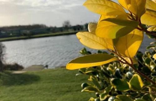 Burgh le Marsh Complejo | Herons Mead Lodges