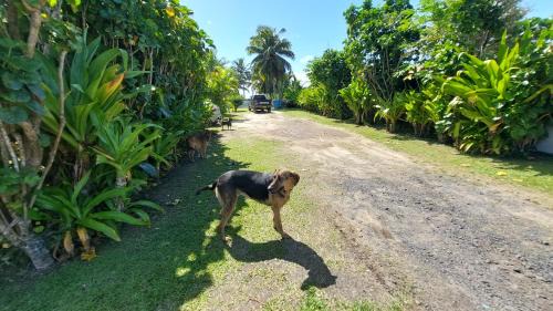 Matavera Apartamento | Herons Reef Holiday Apartments