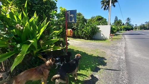 Matavera Apartamento | Herons Reef Holiday Apartments