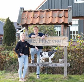 De Lutte Apartamento | Het Haerman