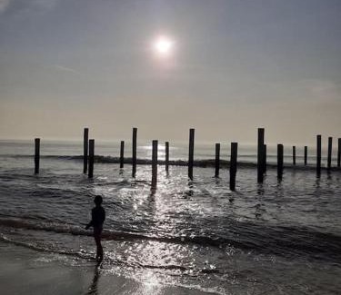 Petten Chalet De Esquí | Het Zeepaardje Petten aan Zee