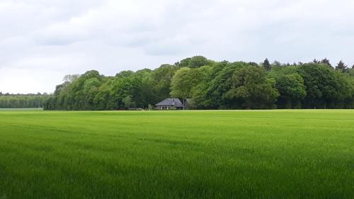 Werlte Casa | Heuerhaus Gut Einhaus