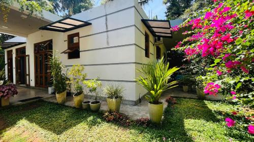 Devinuwara Casa | Hey Lala Talalla