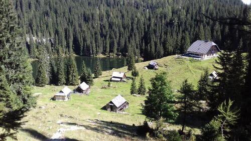 Studor Apartamento | Hiška Henrik Zalokar
