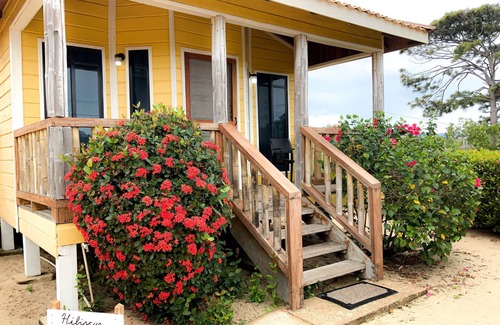 Hopkins Apartamento | Hibiscus Cabana - A cozy studio with AC and WiFi in welcoming Hopkins Village