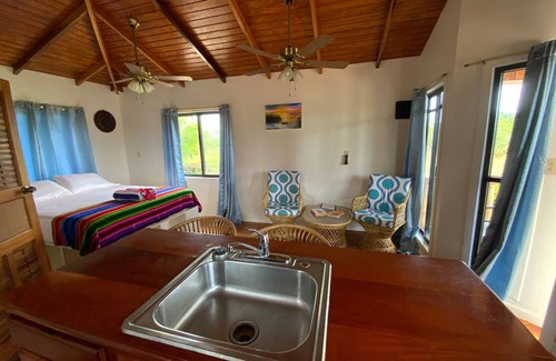 Hopkins Apartamento | Hibiscus Cabana - A cozy studio with AC and WiFi in welcoming Hopkins Village