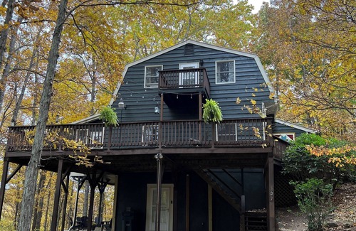 Boone Cabina | Hickory Hollow: Boone's Best Adventures