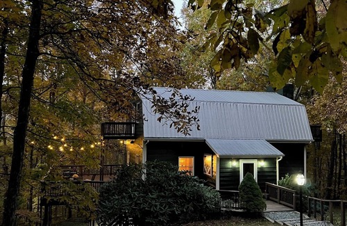 Boone Cabina | Hickory Hollow: Boone's Best Adventures