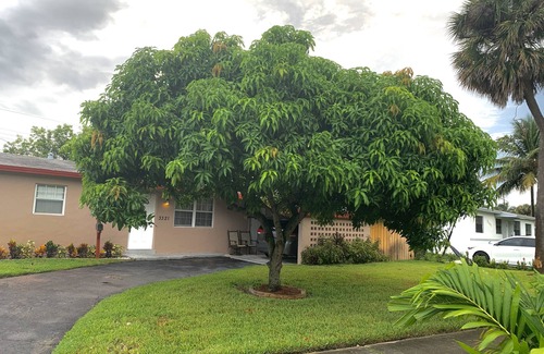 Lauderdale Lakes Casa | HIDDEN GEM! 5BR/3B family-friendly and laundry