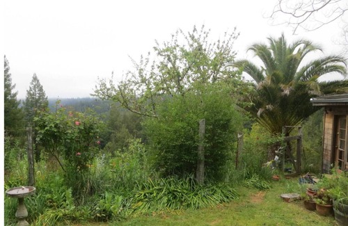 Philo Casa | Una joya escondida en las secoyas Lush, cerca de las bodegas y Costa