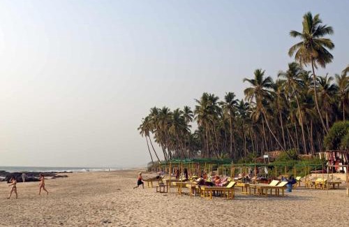Ashvem Apartamento | Hidden Haven, Eden in India ! Quietest stay in Goa