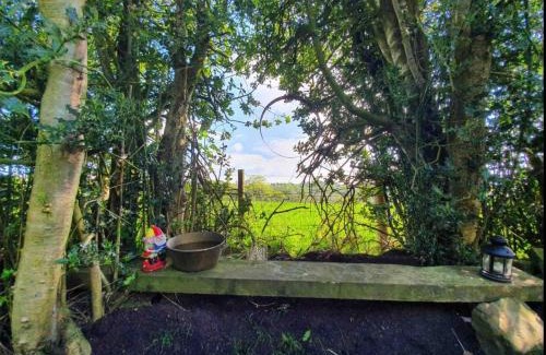 Leek Otro | Hide and Sheep Shepherds Hut