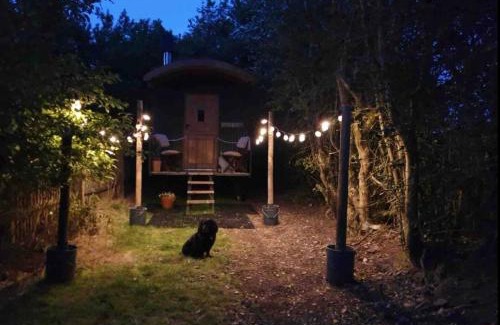 Leek Otro | Hide and Sheep Shepherds Hut