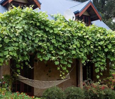 Apollo Bay Casa | Hideaway Cottage - Secluded Retreat - Pet Friendly