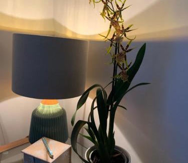 Salisbury Apartamento | Hideaway Holiday Apartment