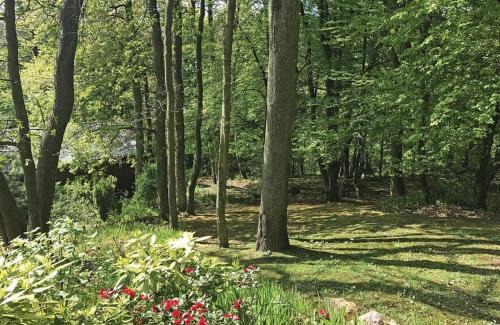 Linlithgow Complejo | Hideaway Lodges