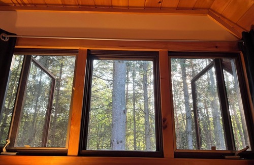 Lake Ariel Cabina | Hideout,2 King Beds,3 bunk beds,Linens,walk to Ski Hill, Beach and Pool! Creek!