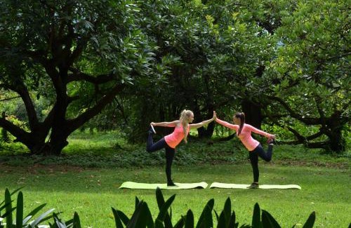 Ligfontein Casa | Highgrove House Country Hotel, Restaurant, Farm & Spa