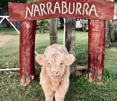 Kooroongarra Casa | Highland Cattle Farmstay at Narraburra - entire house