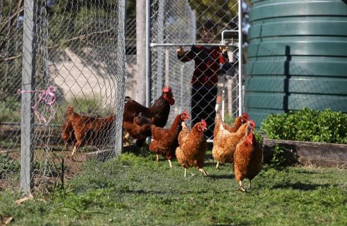 Kooroongarra Casa | Highland Cattle Farmstay at Narraburra - entire house