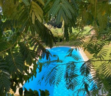 Candeleda Casa | Higueras y Olivos