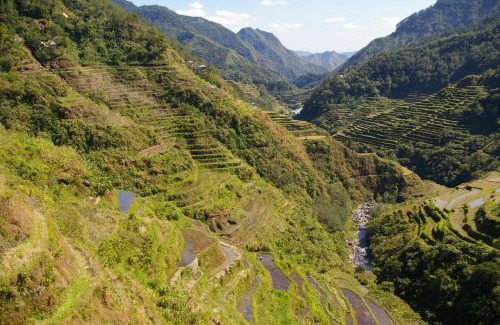Batad Casa | Hiker's Homestay