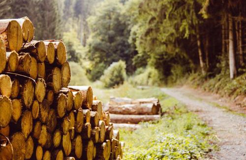 Luxembourg Ardennes Otro | Hikerscabin Trekkershut natuur