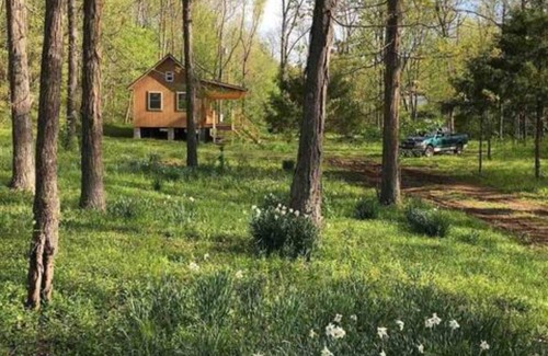 Pettigrew Cabina | Hiking, ATV riding, biking, rafting, cabin retreat!