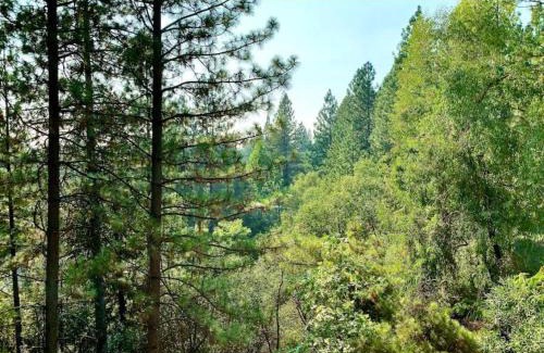 Apple Hill Casa | Hiking Bike Trails Family Fall Fun-Apple Hill