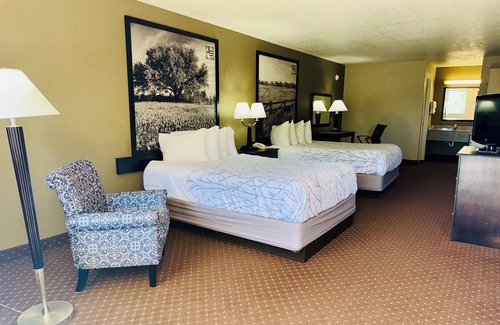 New Braunfels Hotel | Hill Country Inn & Suites - New Braunfels / Gruene