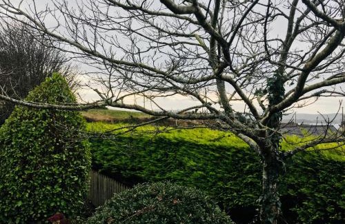 Ardnatrush Casa | Hill Sea View Cottage