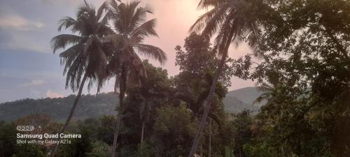Sirimalwatta Casa | Hill tamarind villa