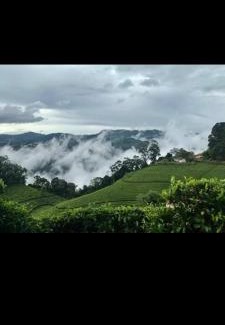 Mahabaleshwar Casa | Hill Top Villa