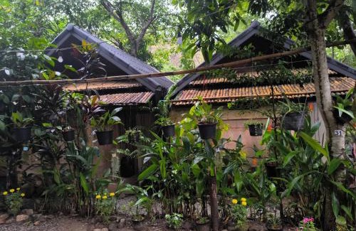 Mae Yao Casa | Hill Tribe Art House (Lahu & Akha Homestay)
