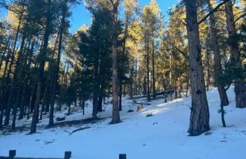 Angel Fire Cabina | Hillside Hideaway Cabin on two private acres