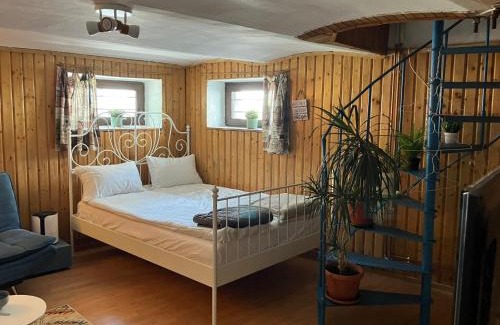 Center Apartamento | Hilltop Retro Home