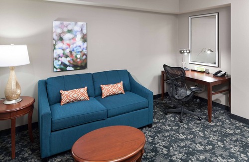 Frisco Hotel | Hilton Garden Inn Frisco